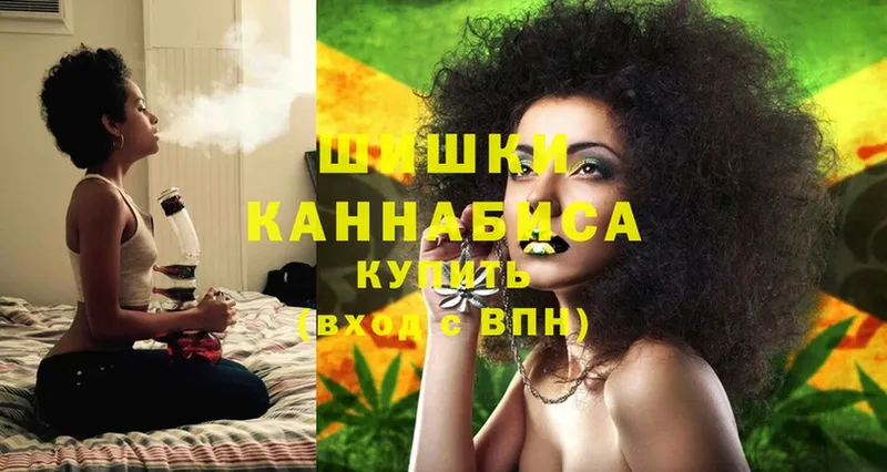 Каннабис OG Kush  блэк спрут онион  Опочка 